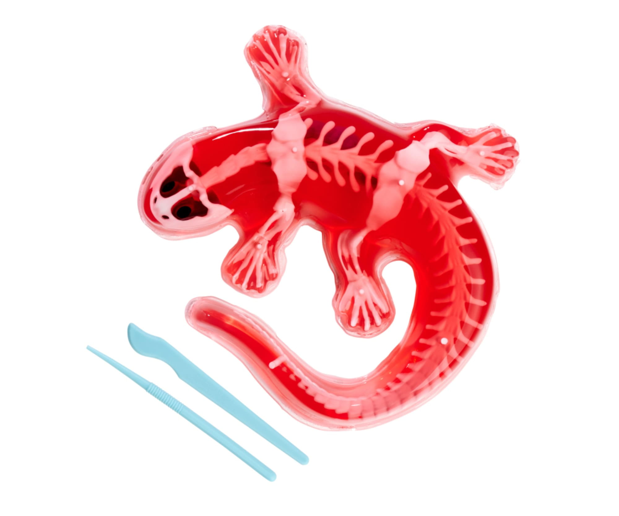 Simba Scout Dissect-It Salamander - RC-Zubehoer
