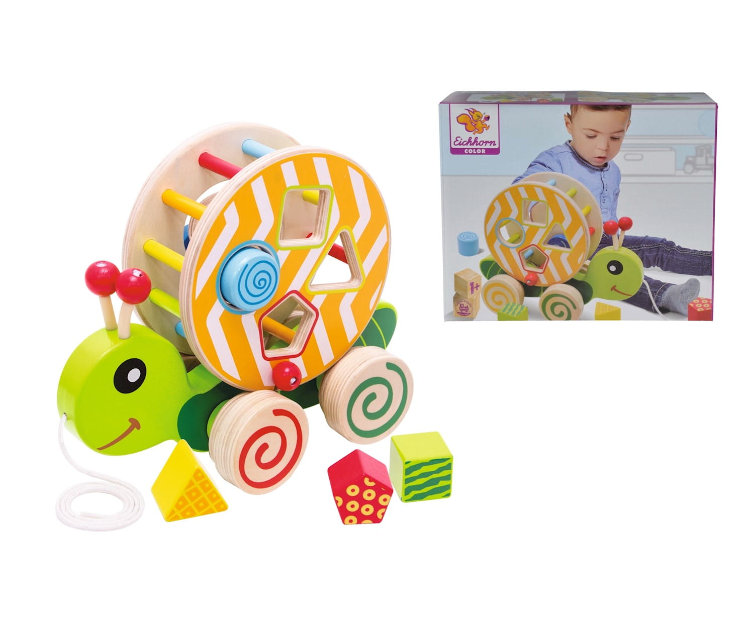 Eichhorn Color, Nachzieh-Stecktier Eichhorn Color, Nachzieh-Stecktier