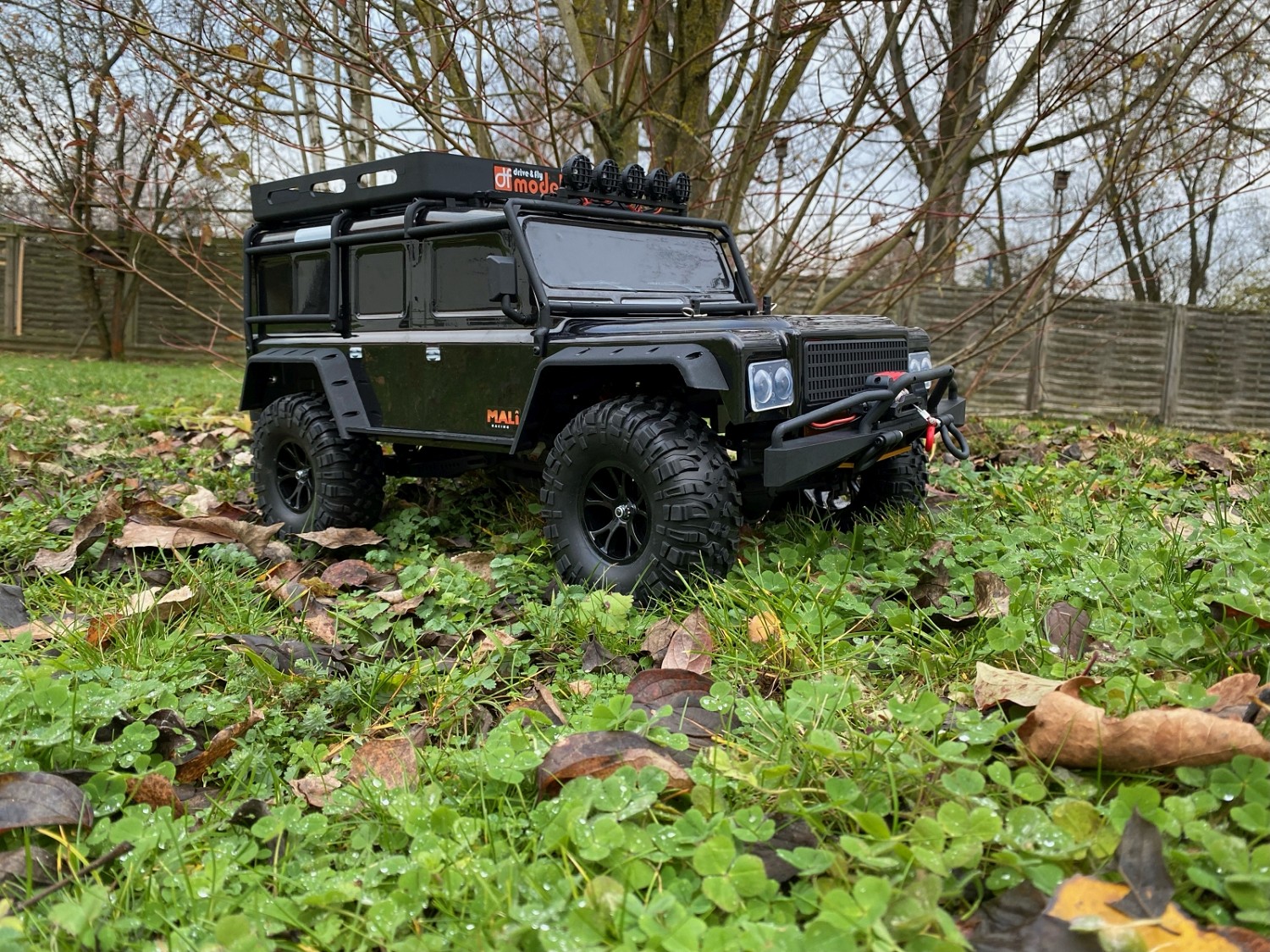 df models crawler in schwarz