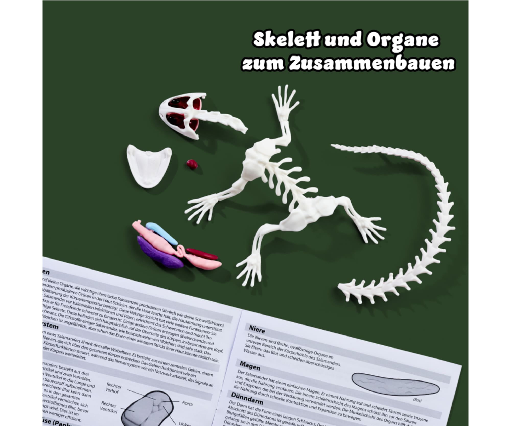 Simba Scout Dissect-It Salamander - RC-Zubehoer