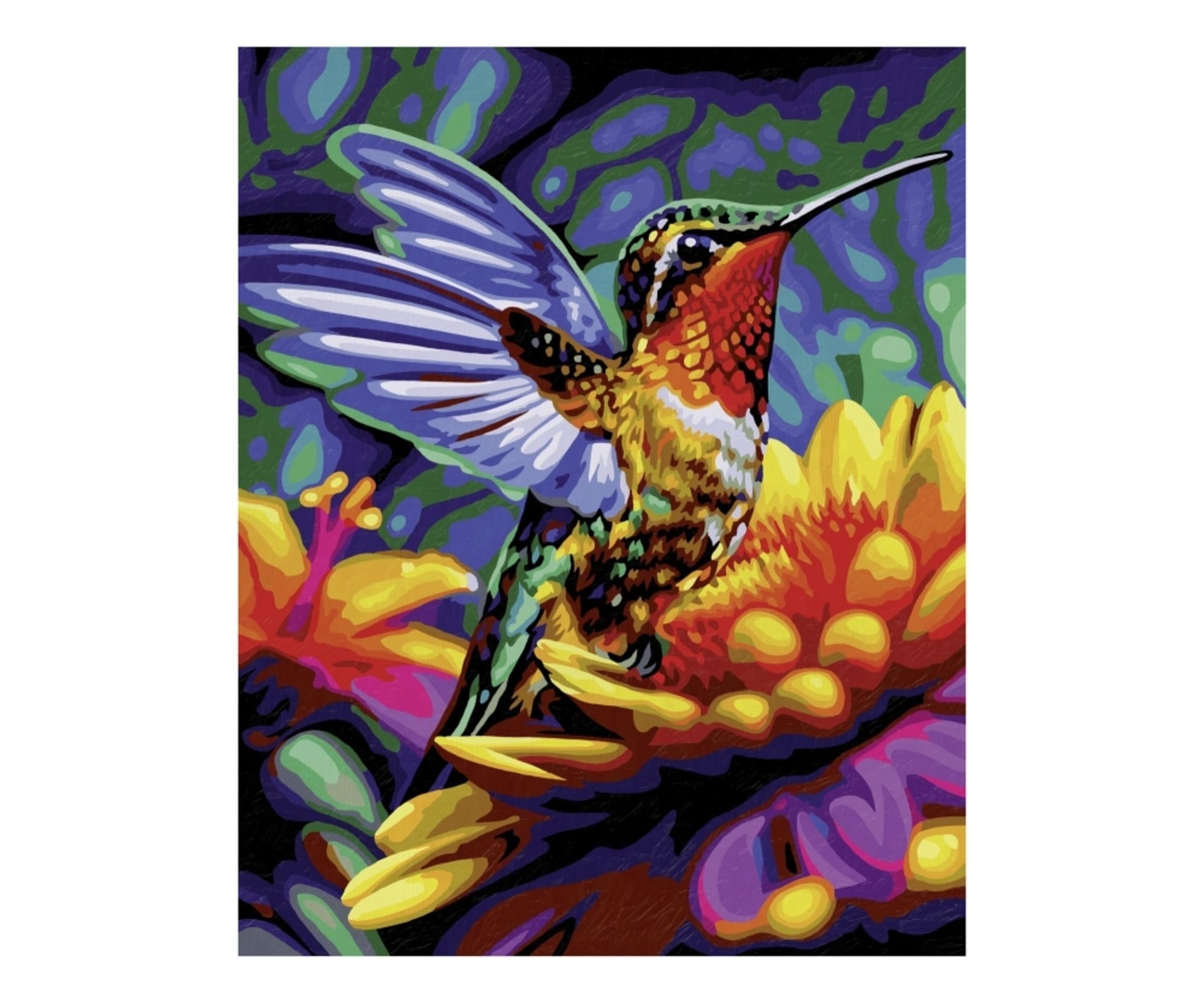 Schipper Malen nach Zahlen - Kolibri