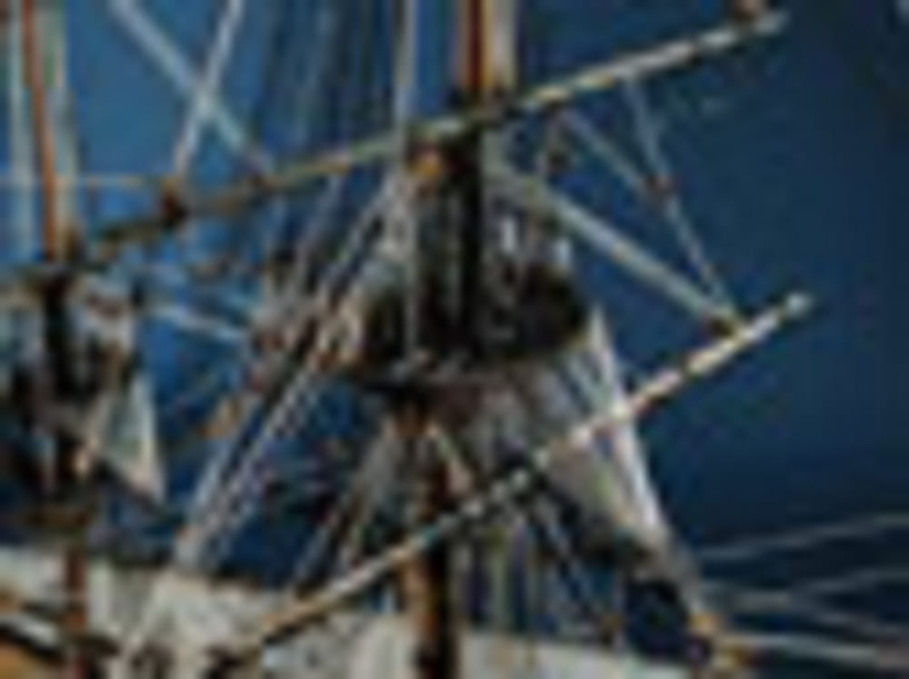 Endeavour H_M. Bark Modellbaukasten im Massstab 1_64 mit hochwertigen Holz- und Messingteilen