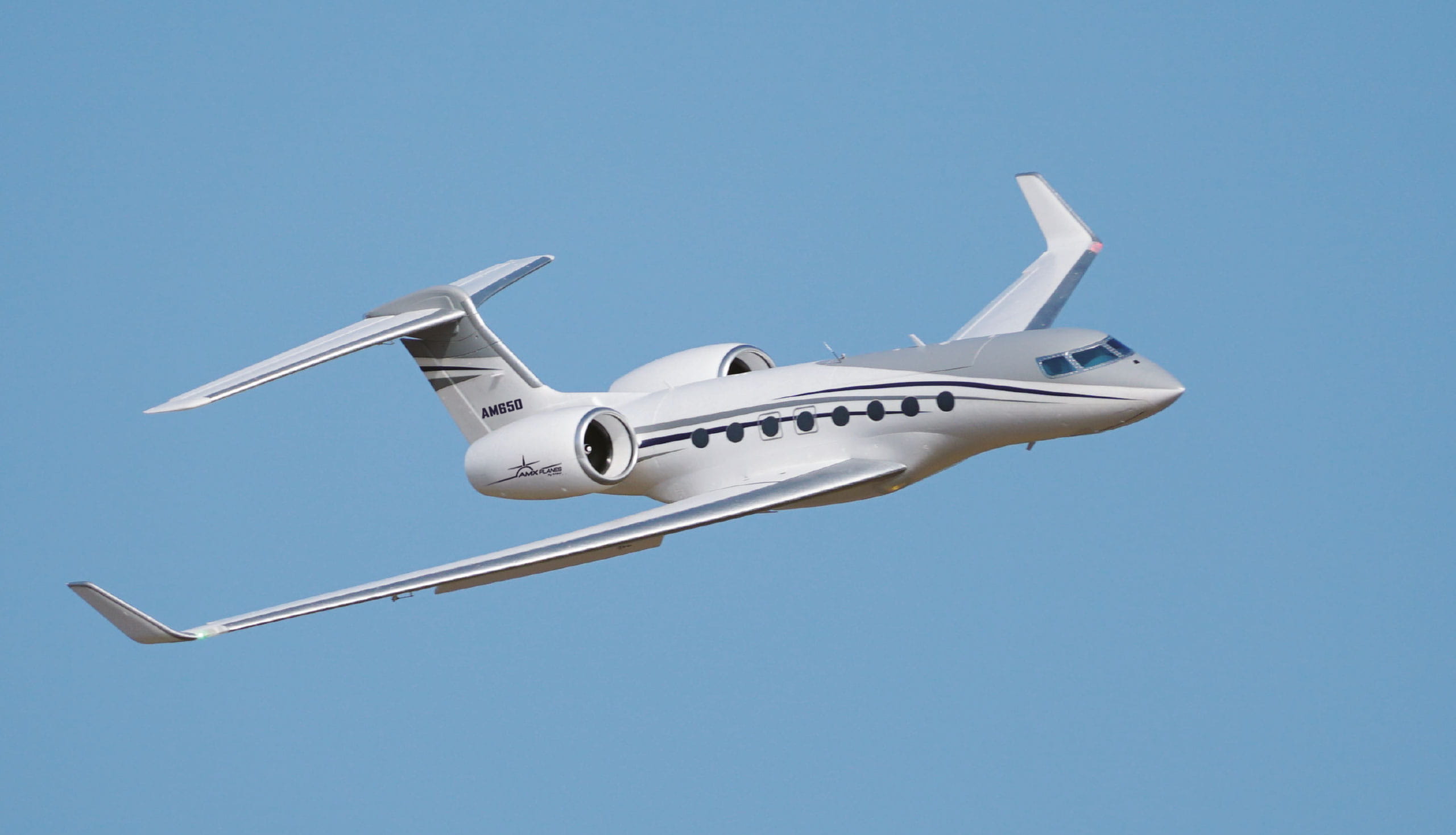 Amewi RC Flugzeug AMXPlanes AM650 Business Jet 1766mm PNP