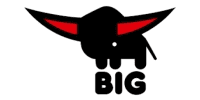 Big Big