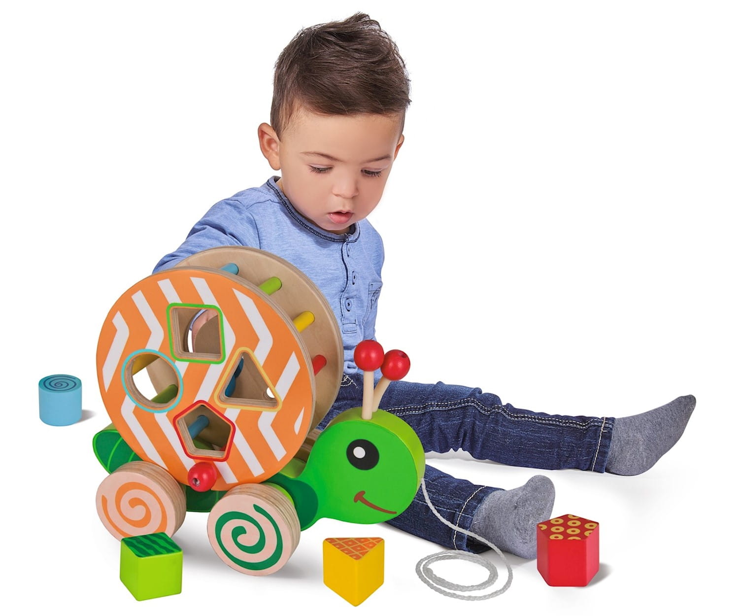 Eichhorn Color, Nachzieh-Stecktier Eichhorn Color, Nachzieh-Stecktier