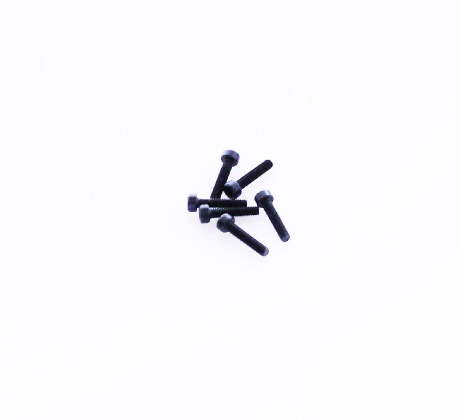 Drive & Fly Models Zylinderkopfschrauben M3 x 14  (6)