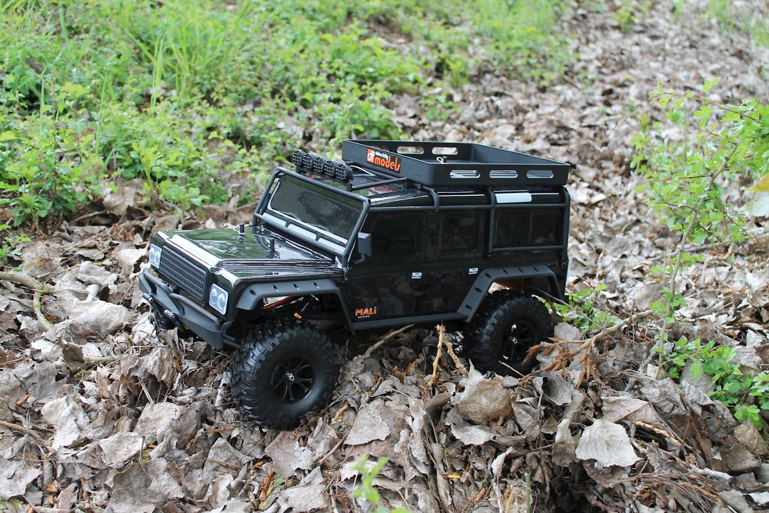 df models crawler in schwarz