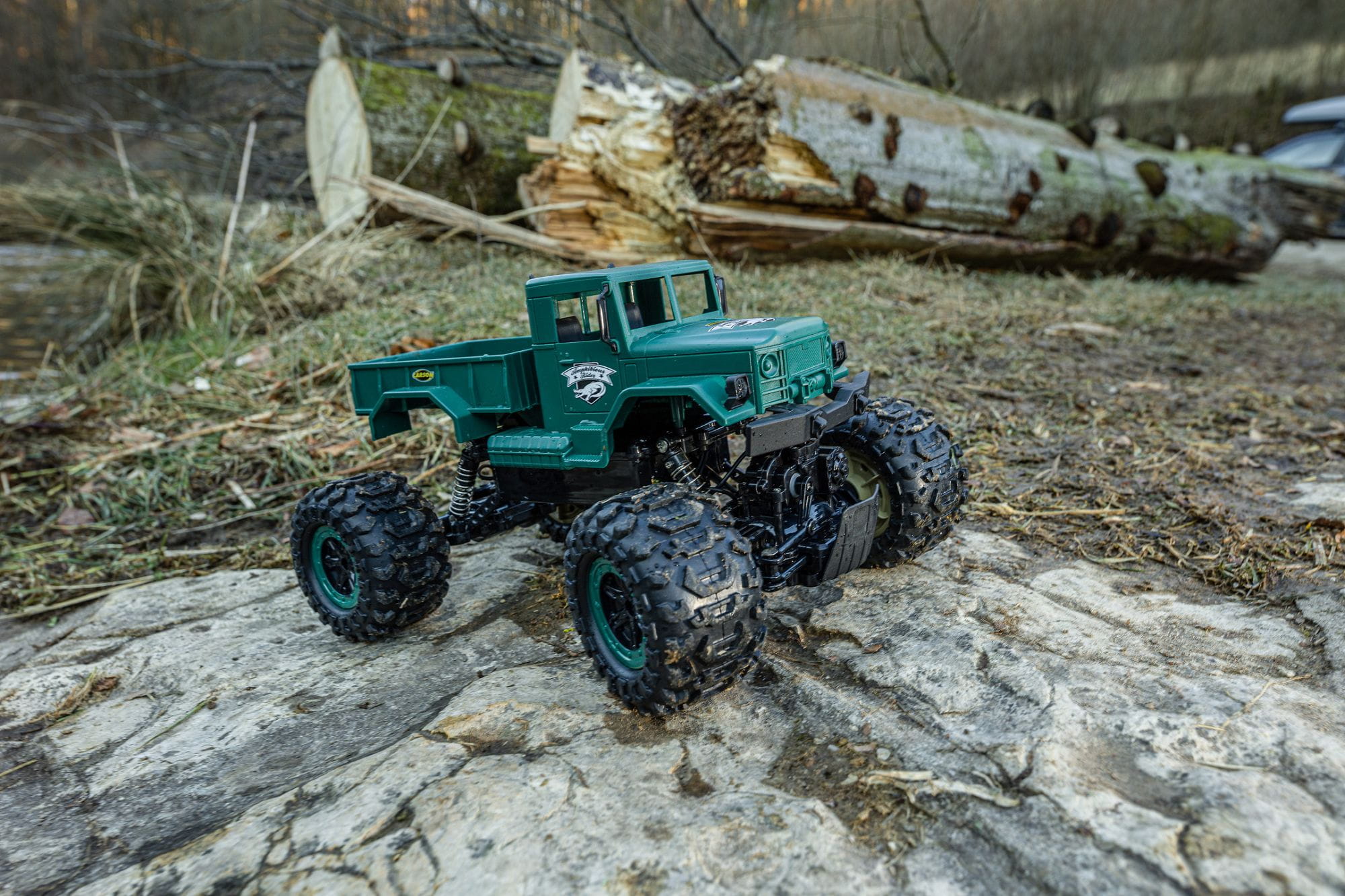 carson rc buggy rider rtr