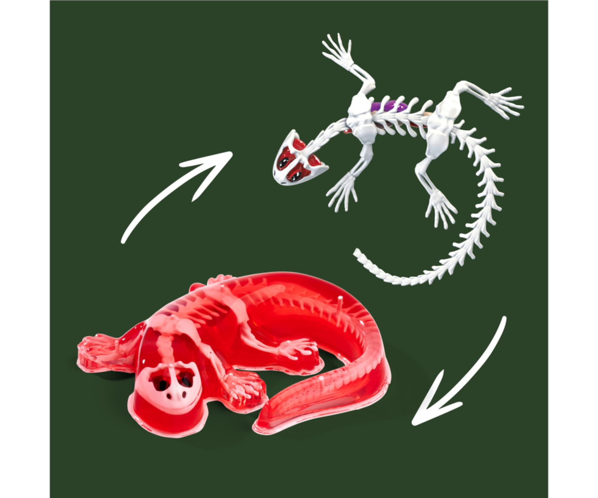 Simba Scout Dissect-It Salamander - RC-Zubehoer