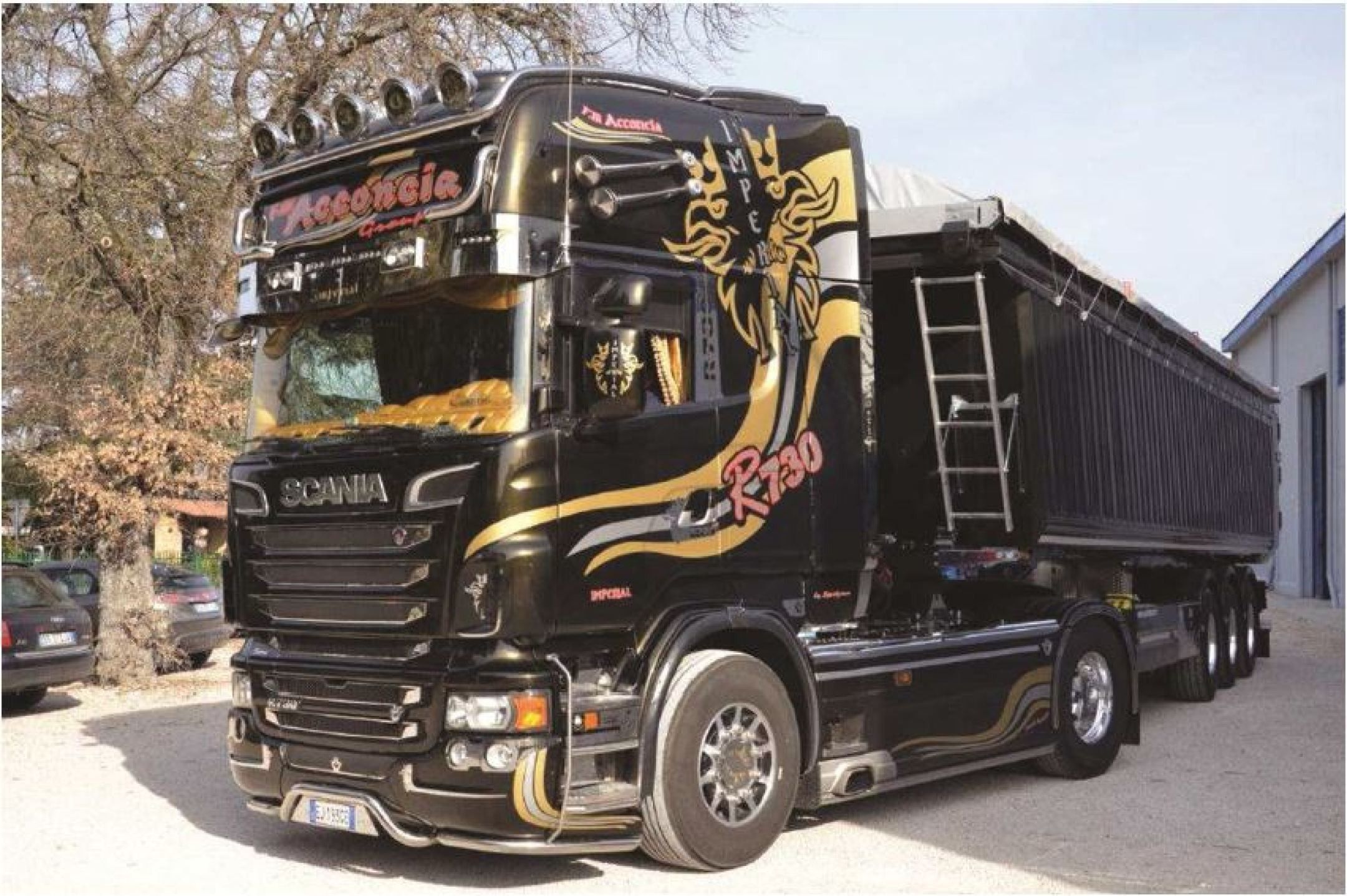 Italeri 1_24 Scania R730 V8 Topline Imperial Modellbausatz mit Dekor