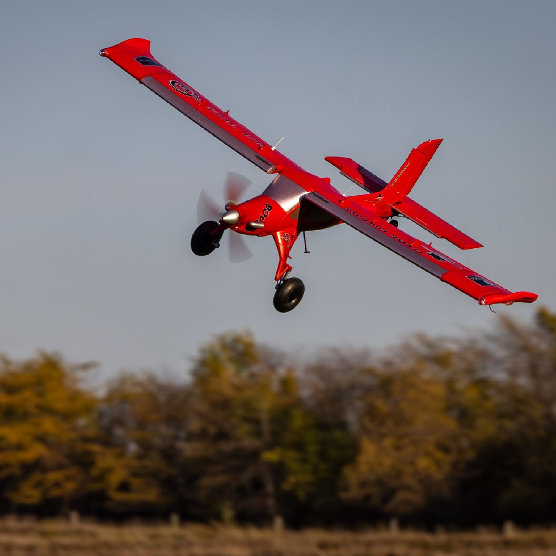 eflite rc flugzeug draco