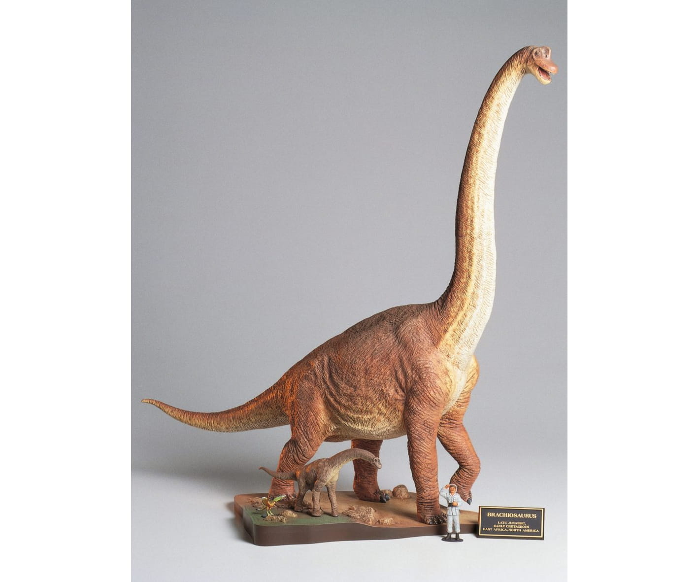 Tamiya 1:35 Brachiosaurus Diorama Set