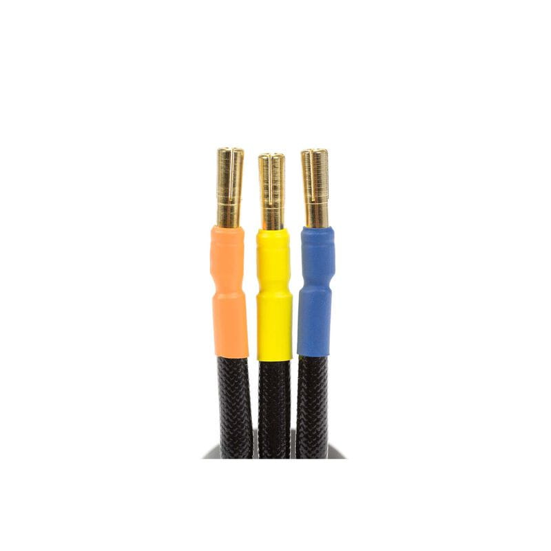 Spektrum Firma 3668 2400Kv 4-Pole Brushless Motor_ 5mm - RC-Zubehoer