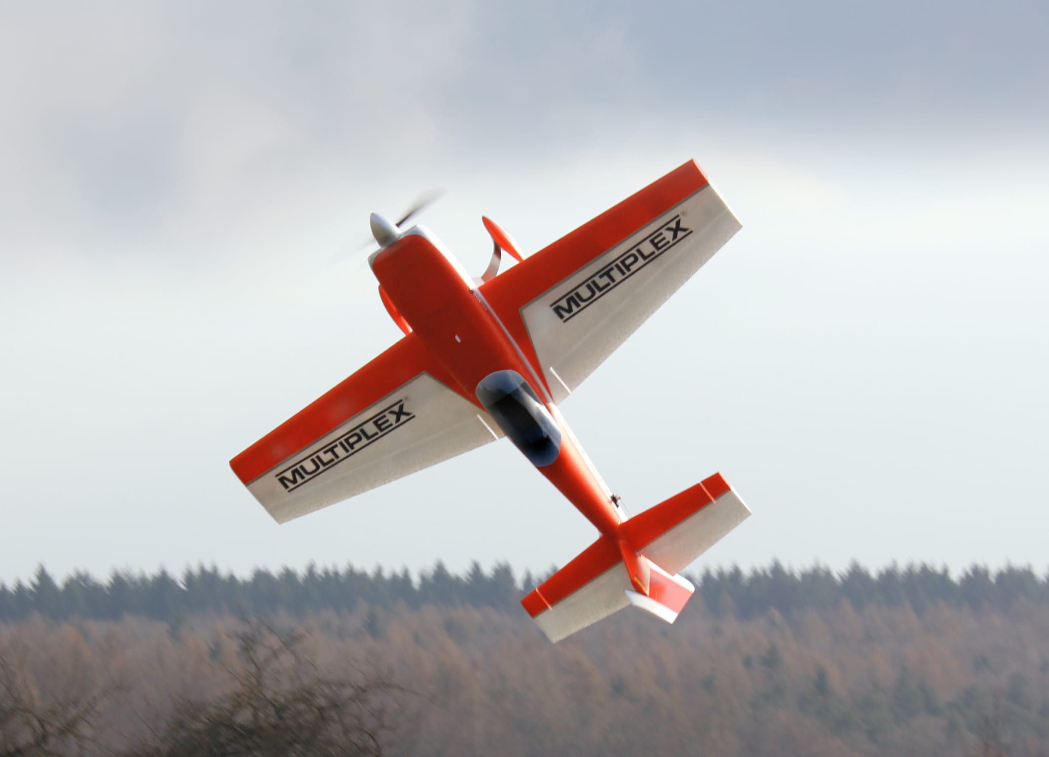 RC Flugzeug RR Extra 300 S