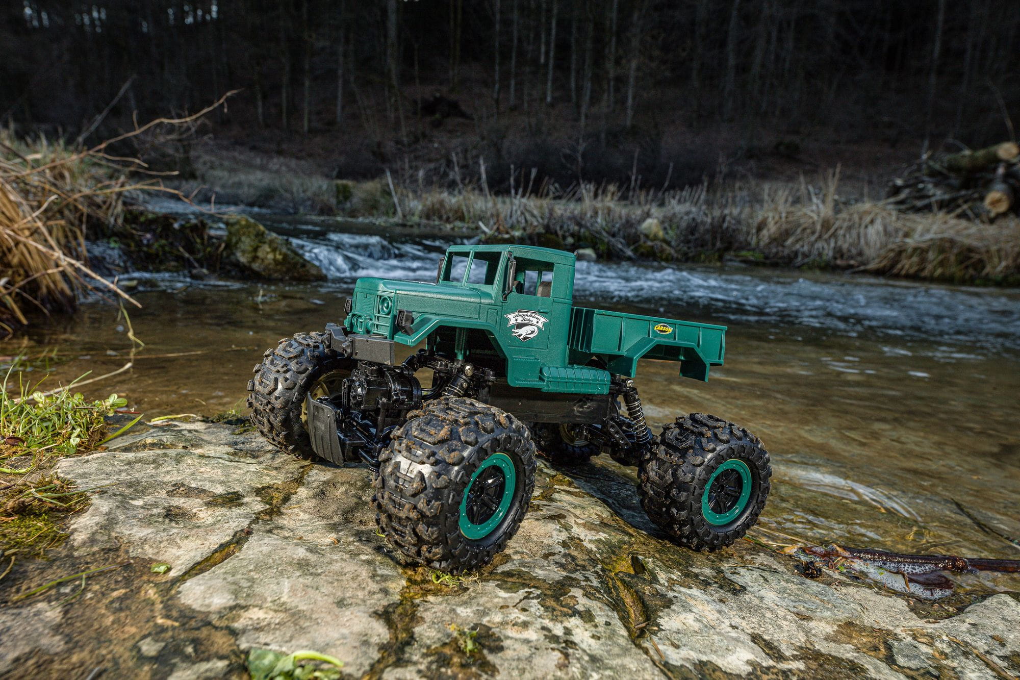 carson rc buggy rider rtr